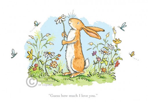 Anita Jeram Guess how much I love you AJ9106