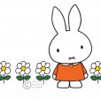 Dick Bruna Miffy in the daisies