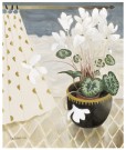 Mary Fedden White Cyclamen 2002