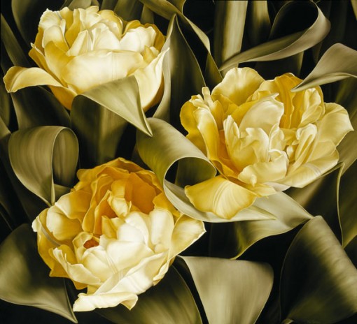 Mia Tarney Tulipa Verona MT3002