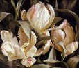 Mia Tarney Libretto Parrot Tulips