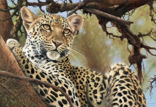 Pip McGarry Leopard in TreeCollectors edition 800x550_75_549