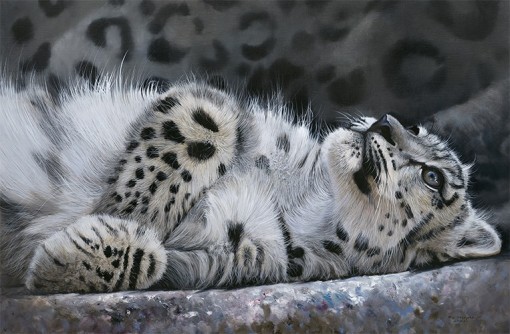 Pip McGarry Snow Leopard Cub 760x500_75_520