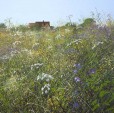 Paul Evans Meadow Flowers and Farm