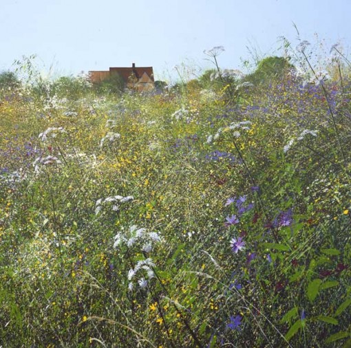 Paul Evans Meadow Flowers and Farm PE3053