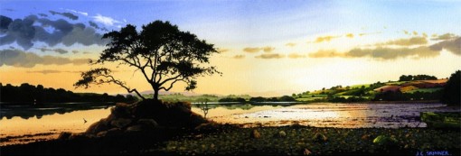 Skinner Evening Light 560x190_195_70