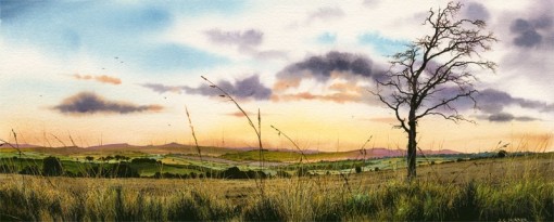 Skinner Moorland Grasses 620x250_195_99