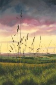 Arte - John Skinner Summer Time Grasses