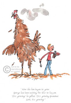 Roald Dahl The hen began to grow